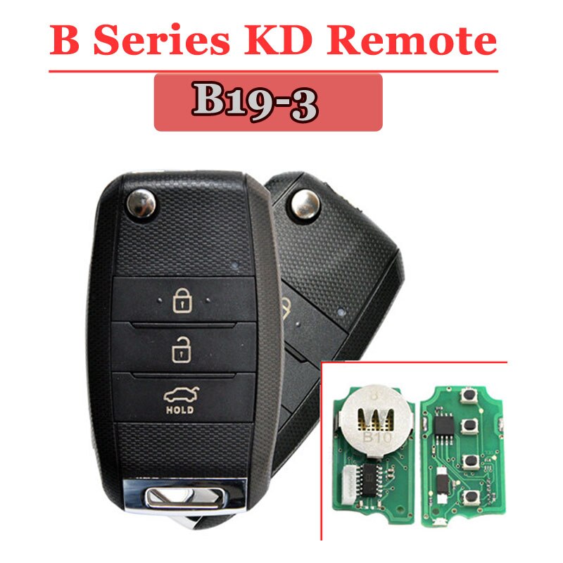 B19