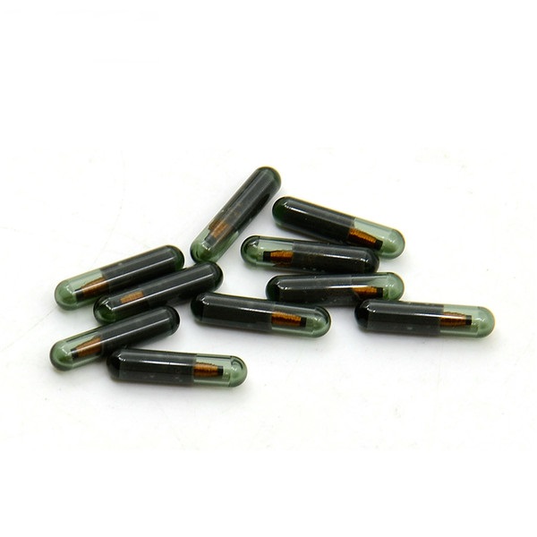 T5(ID20)TC-04B